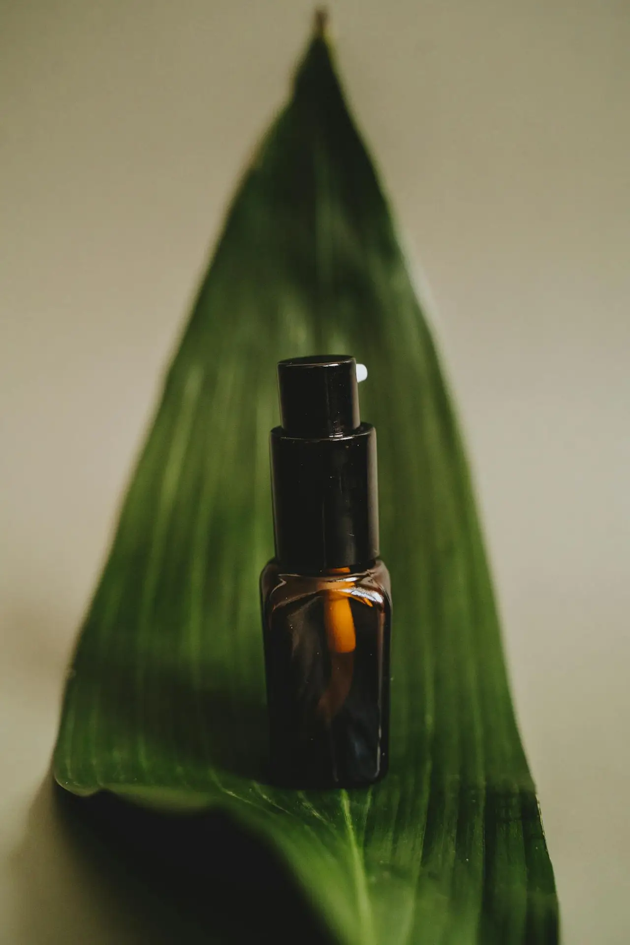 Elegant skincare bottle displayed on a green leaf, highlighting natural beauty.